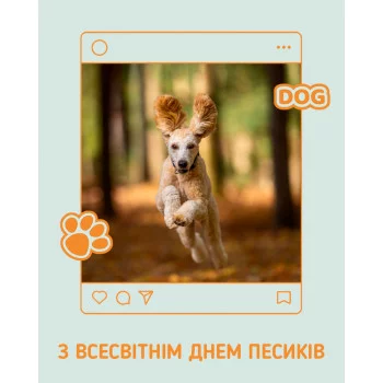 З Всесвітнім днем собак! 