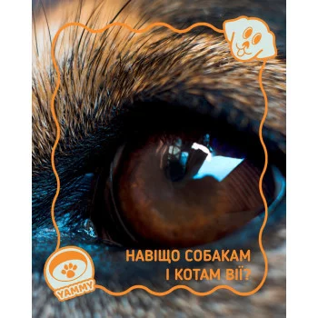 Так-так, у наших хвостатих друзів теж є #вії — і вони виконують не менш важливу функцію, ніж у людей! 