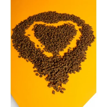 Що відрізняє супер-преміум корм від звичайного? 