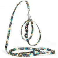 Комплект із нейлону з візерунком DINO регул. шлея та повідок