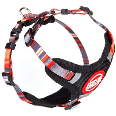 Комплект із нейлону з візерунком LINE регул. шлея та повідок