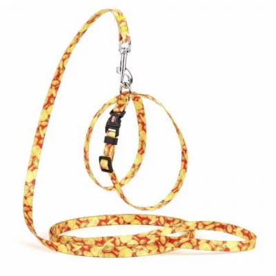 Комплект із нейлону з візерунком MONEY  регул. шлея та повідок