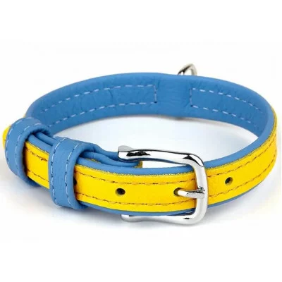 Before Нашийник двокольоровий 20мм, 310-380мм