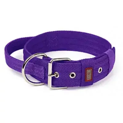 Befor Нашийник нейлон  посилений подвійний із ручкою 48мм 460-550мм