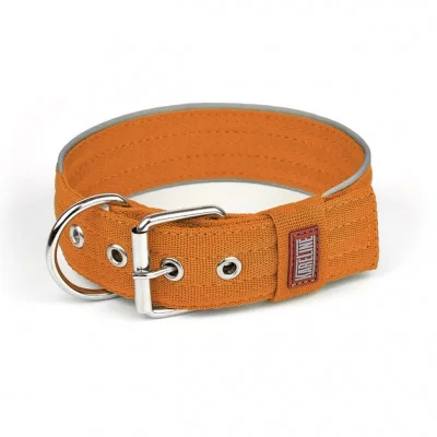 Нашийник нейлон зі світловідбиваючим кантом посилений подвійний 48мм 550-640мм