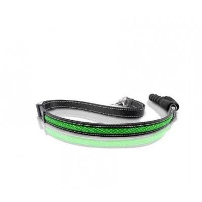 AnimAll повідець LED 2,5/120-150 см  з підзарядкою