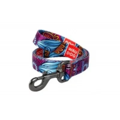 Collar  WAUDOG Nylon Повідець  з малюнком Літо 122 см