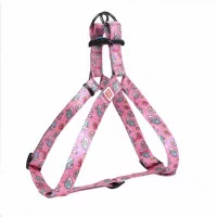 Шлея WAUDOG Nylon з малюнком анатомічна 
