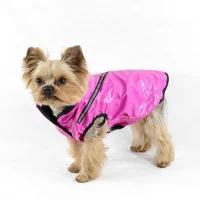 Дощовик Сільвер