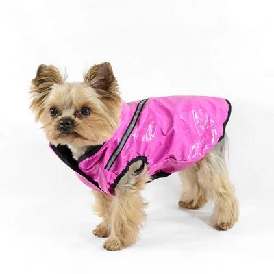 Дощовик Сільвер