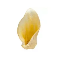 (Терра-С) Ласощі для собак Вухо яловиче середнє з кальцієм