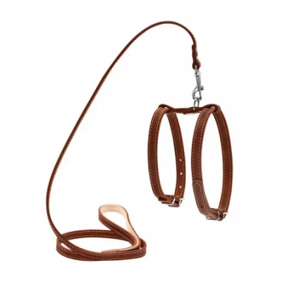 Collar Шлея поводок для дрібних собак,14 мм, А:27-35 см,В:35-45 см,122 див.