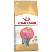 Royal Canin Kitten British Shorthair Корм для кошенят породи..