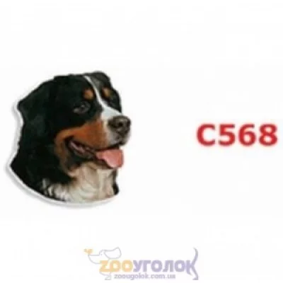 Camon Наклейка двостороння, 2 шт.