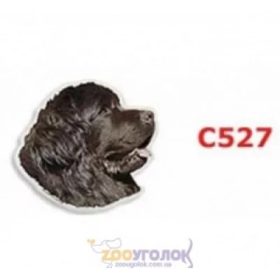 Camon Наклейка двостороння, 2 шт.