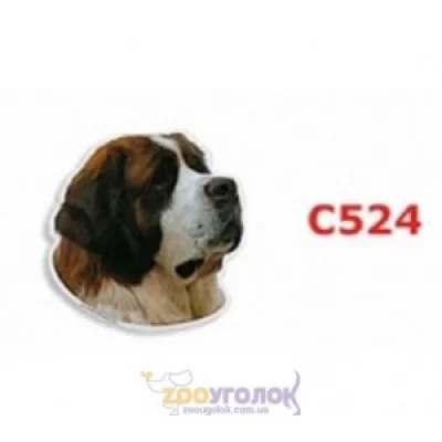 Camon Наклейка двостороння, 2 шт.