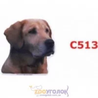 Camon Наклейка двостороння, 2 шт.