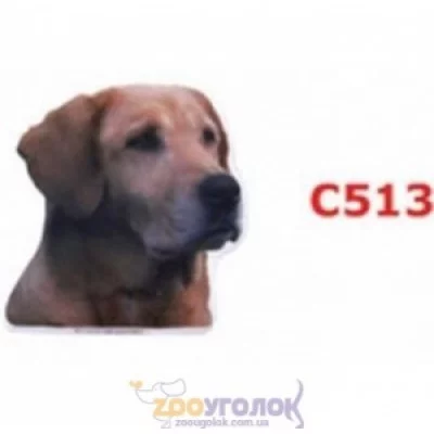 Camon Наклейка двостороння, 2 шт.