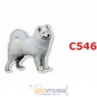 Camon Наклейка двостороння, 2 шт.