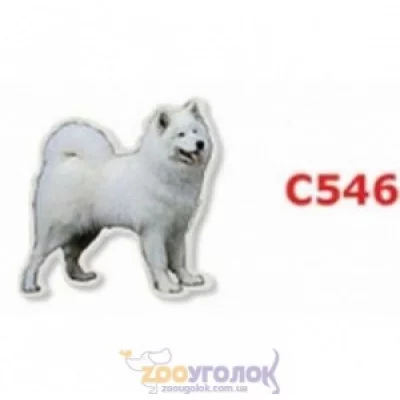 Camon Наклейка двостороння, 2 шт.