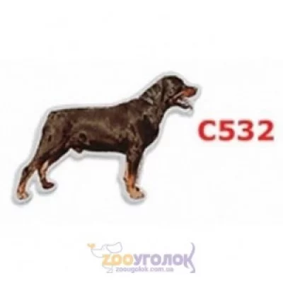 Camon Наклейка двостороння, 2 шт.