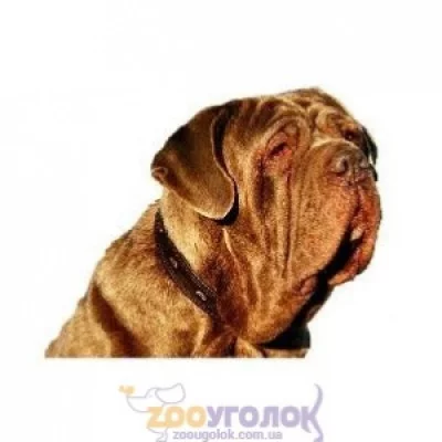 Camon Наклейка двостороння, 2 шт.