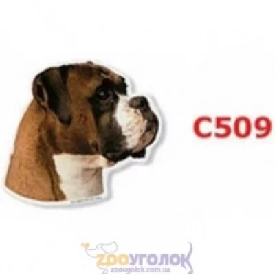 Camon Наклейка двостороння, 2 шт.