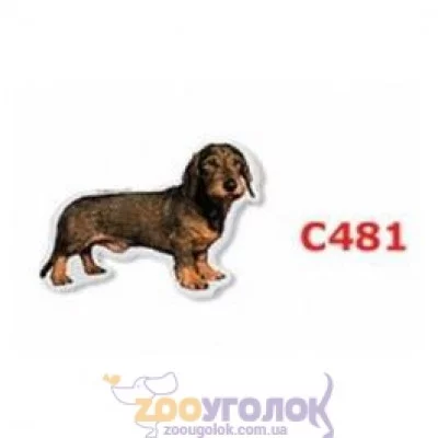 Camon Наклейка двостороння, 2 шт.