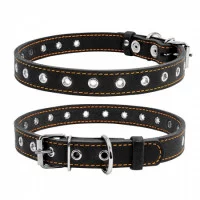 Collar Нашийник безрозмірний, ширина 20 мм, довжина 50 см