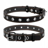 Collar Нашийник безрозмірний, ширина 25 мм, довжина 60 см