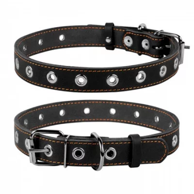 Collar Нашийник безрозмірний, ширина 25 мм, довжина 60 см