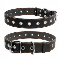 Collar Нашийник безрозмірний, ширина 35 мм, довжина 73 см