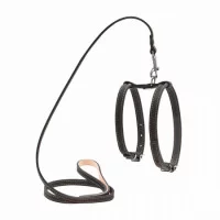 Collar Шлея поводок для дрібних собак,14 мм, А:27-35 см,В:35..