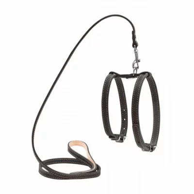 Collar Шлея поводок для дрібних собак,14 мм, А:27-35 см,В:35-45 см,122 див.