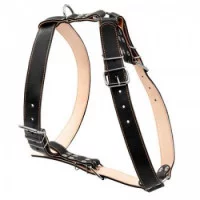 Collar Шлея подвійна для великих собак (ширина 35мм, А:70-94..