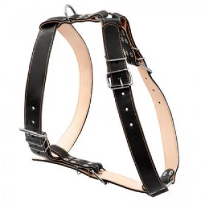 Collar Шлея подвійна для великих собак (ширина 35мм, А:70-94см, В:87-102см)