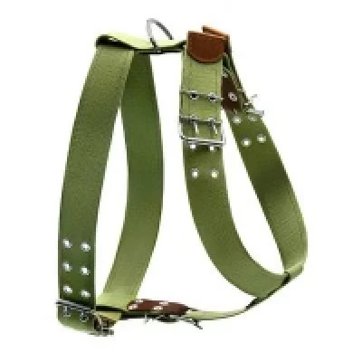 Collar Шлея з бавовняної стрічки CoLLaR для великих собак № 2