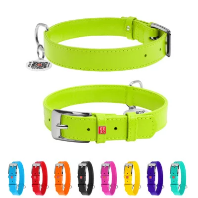 Collar Glamour Нашийник без прикрас, ширина 25 мм, довжина 38-49 см