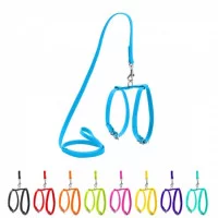 Collar Шлея з повідцем Glamour XS, шкіряна