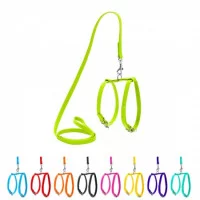 Collar Шлея з повідцем Glamour XS, шкіряна