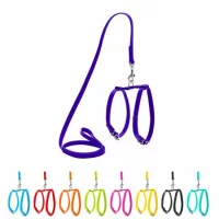 Collar Шлея з повідцем Glamour XS, шкіряна