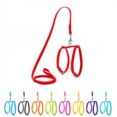 Collar WAUDOG Шлея з повідцем Glamour S, шкіряна 12мм, 115 см, 20-30 см 30-40 см