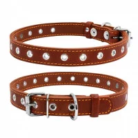 Collar Нашийник безрозмірний, ширина 20 мм, довжина 50 см