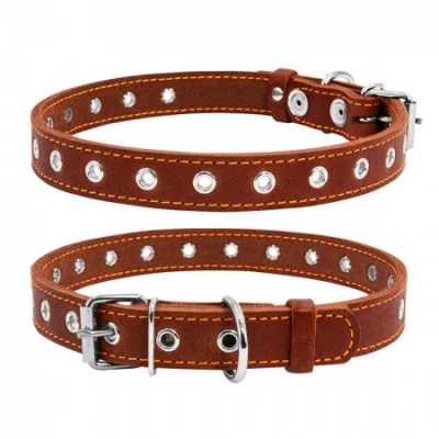 Collar Нашийник безрозмірний, ширина 20 мм, довжина 50 см