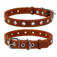 Collar Нашийник безрозмірний, ширина 25 мм, довжина 60 см