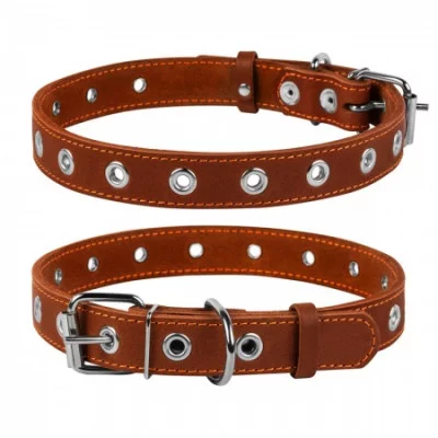 Collar Нашийник безрозмірний, ширина 25 мм, довжина 60 см