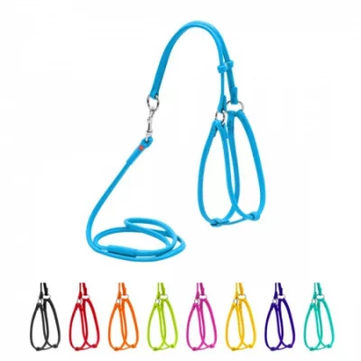 Collar Glamour Шлея + поводок, круглая №2, ширина 6 мм (А:46-66 см, В:40-60 см)