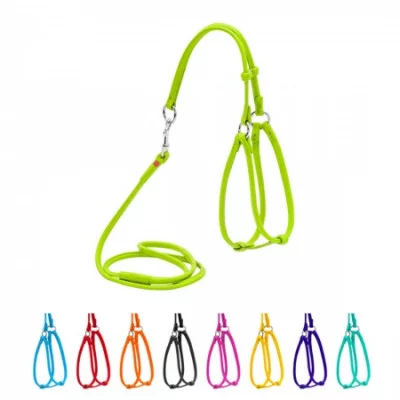 Collar Glamour Шлея + поводок, круглая №2, ширина 6 мм (А:46-66 см, В:40-60 см)