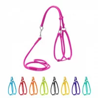 Collar Шлея з повідцем 