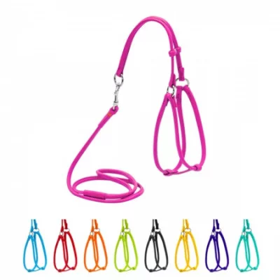 Collar Шлея з повідцем 